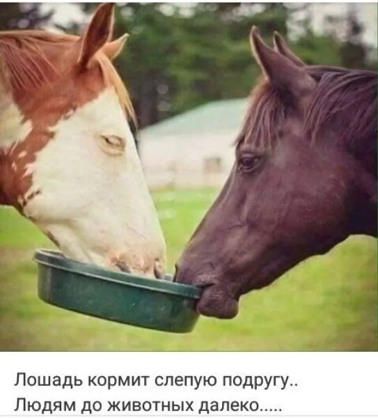 IMG 20260114 034625