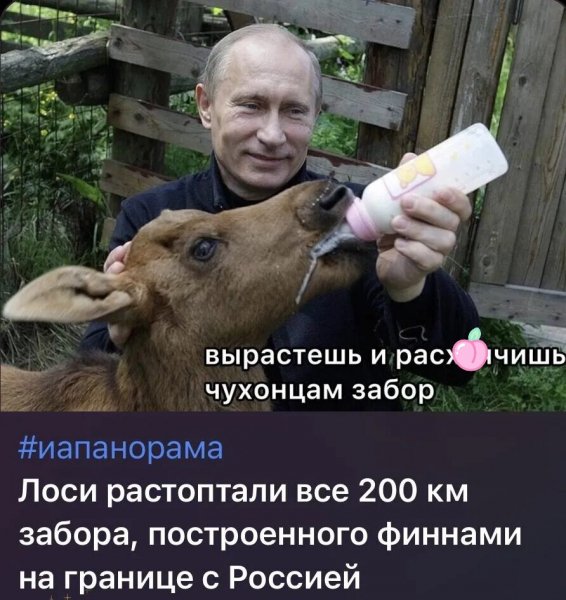 IMG 20260907 220005