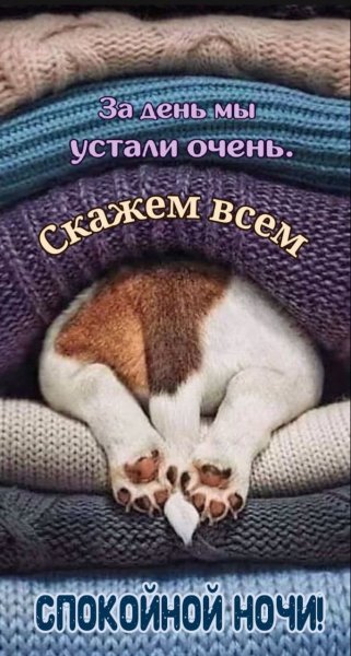 Спокойной ночи !