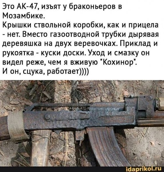 Файл #313593328