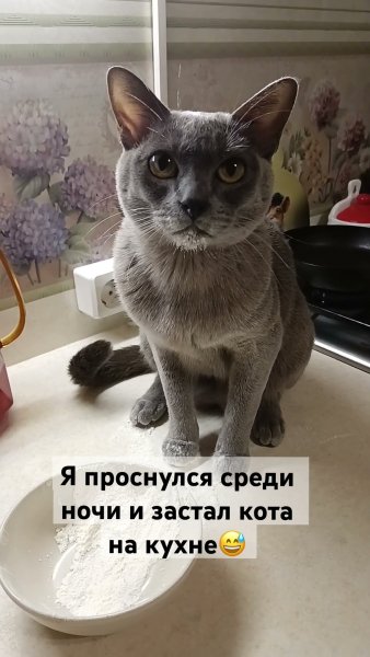 Оба - на!!!