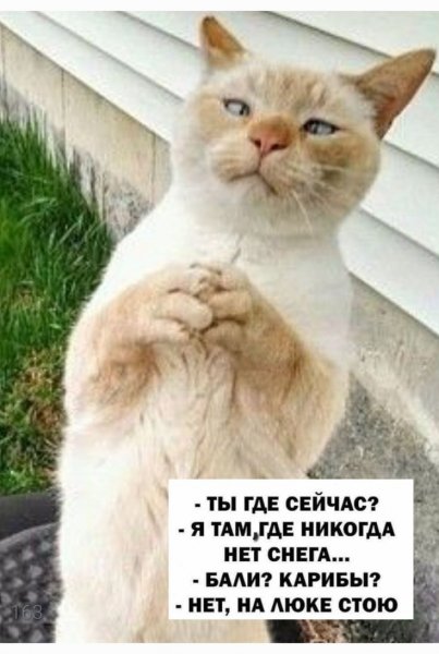 На люке стою