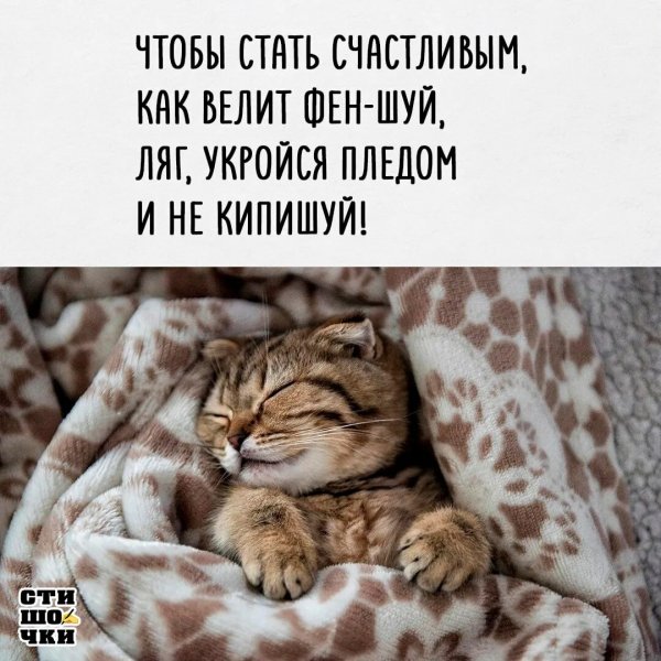 И не кипишуй!