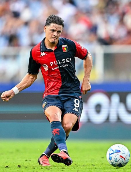 Витинья