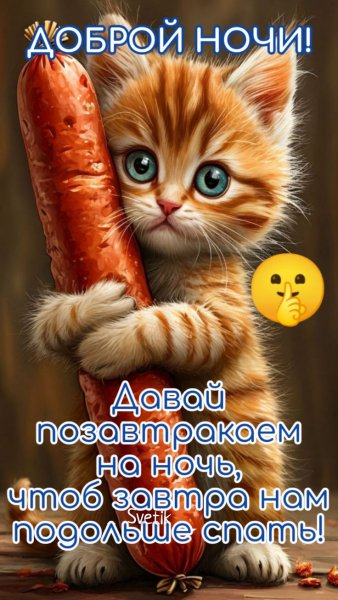 Доброй ночи!