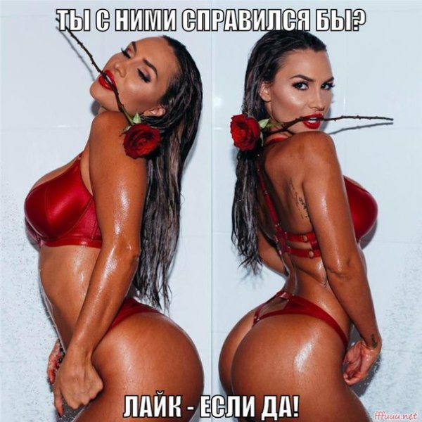 VEzqsJT1k10