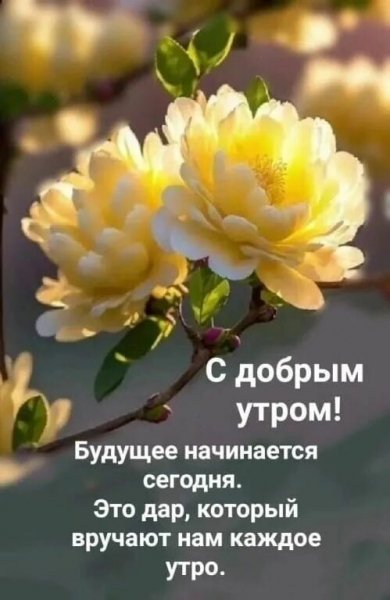 Друзья мои!