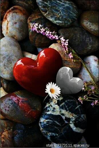 love 000118