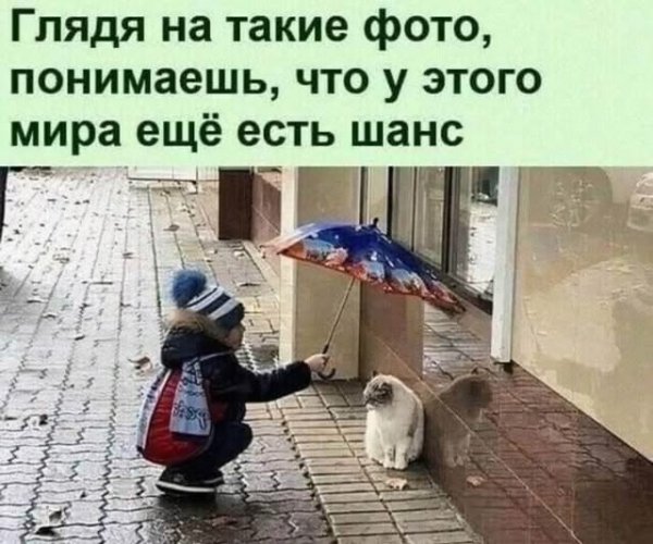 18dc9e82a7b22113e1f7866793aebade