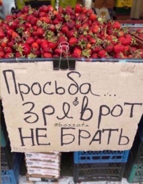 0fe2e1c37f36cf023a
