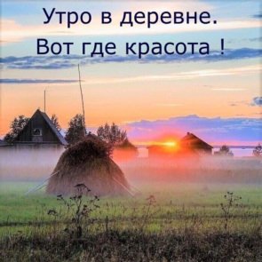 picture_277671635