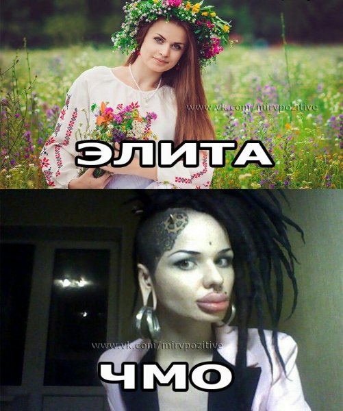Файл #200687061