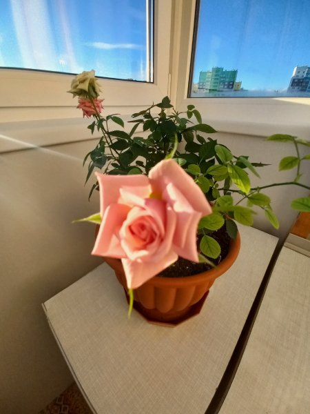 picture_325685407