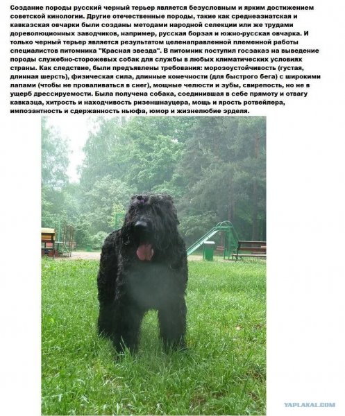 Файл #416559965