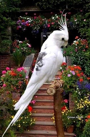 image (3) (11)
