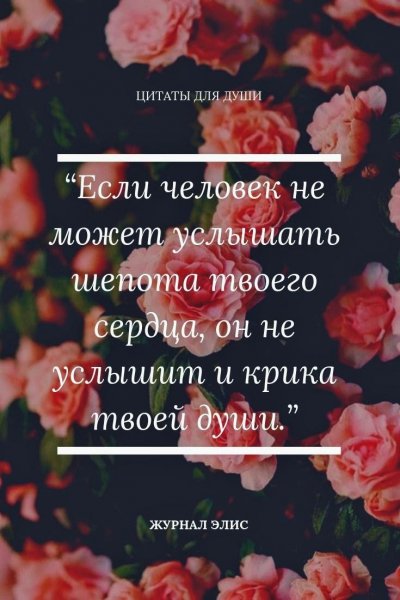 Файл #364118018
