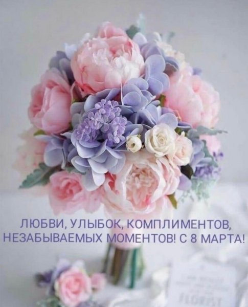 IMG-20230308-WA0040
