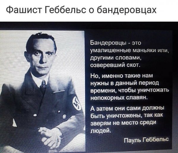 IMG 20220319 033618
