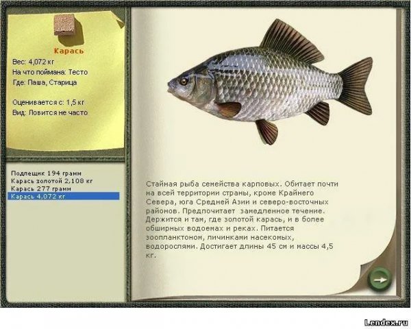 Карась