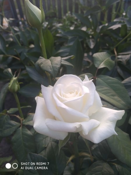 IMG 20210625 201430