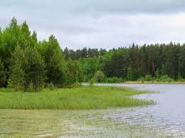images (44)