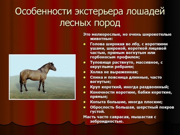 Особенности