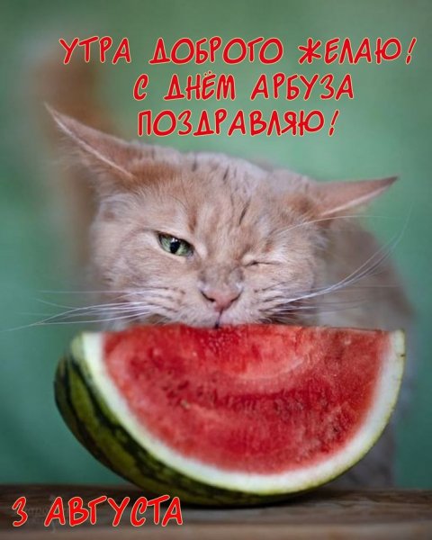 32a1744dcd82a1871812c05b6415d169
