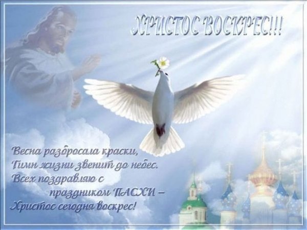 IMG-20240505-WA0000