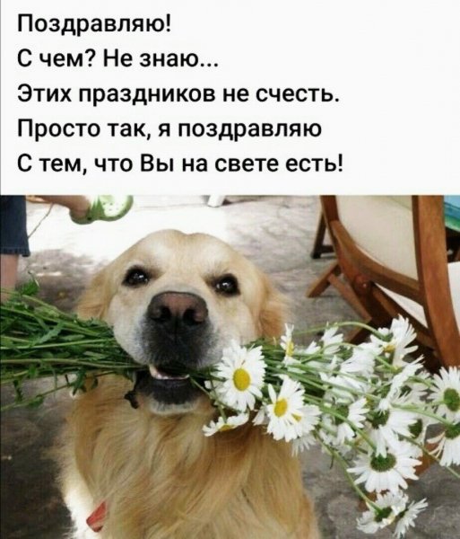 ПРИЧАЛ МОЕЙ ДУШИ НАСТРОЕНИЕ В КАРТИНКАХ OK RU (1)