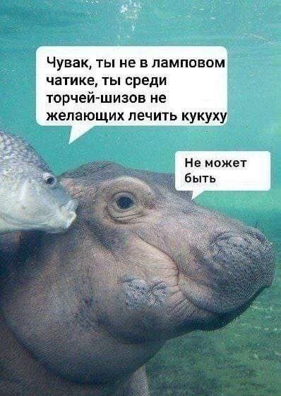 IMG 20261006 084251 221