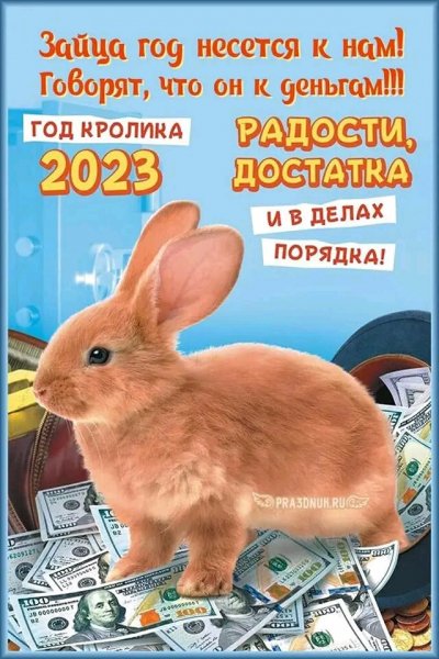 СИМВОЛ ГОДА 2023 КРОЛИК Я ИДУ К ВАМ ВЫ МЕНЯ ЖДЁТЕ