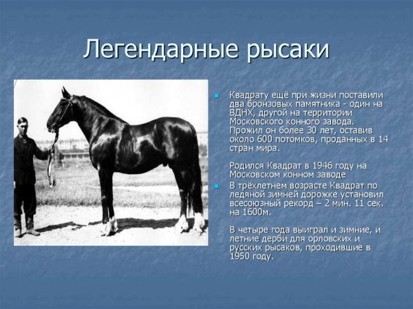 Квадрат
