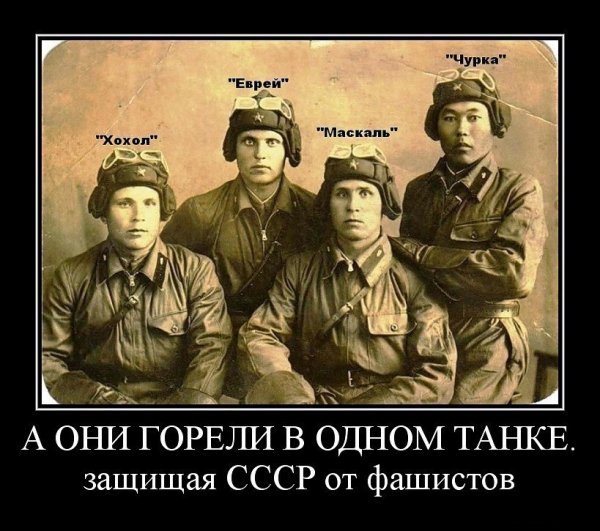 Д. П20