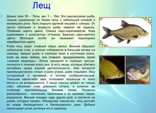 Лещ