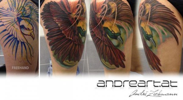Tattoo (3416)