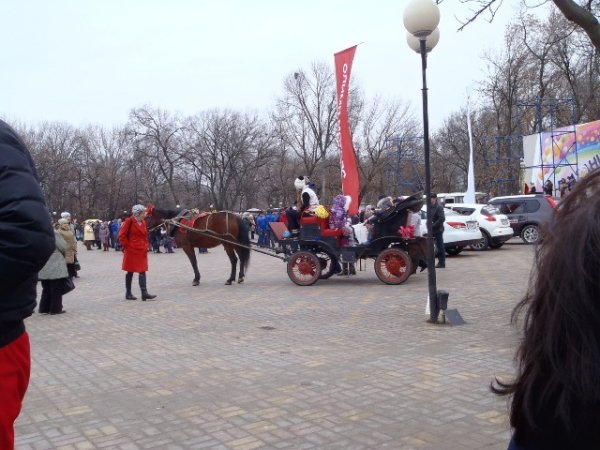 Спасибо нашей конюшне