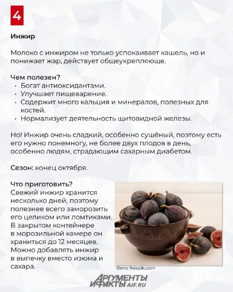 Файл #413375497