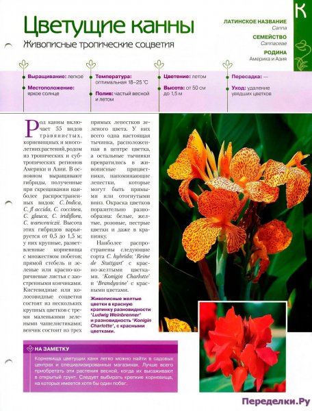 Канны
