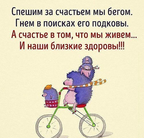 Спешим за счастьем