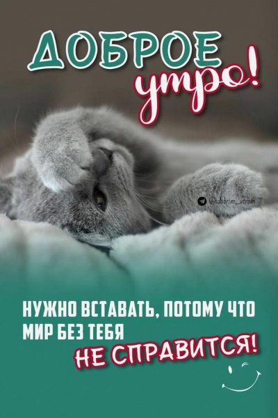 Доброе утро!