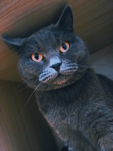 IMG 20230401 184616