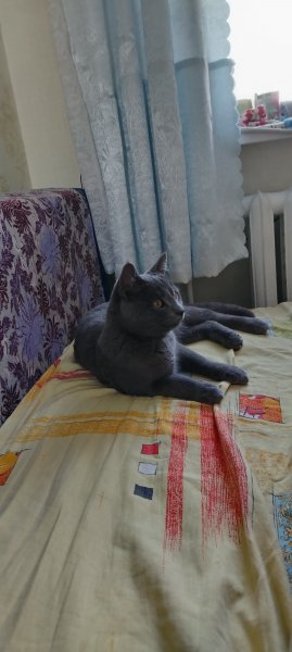 picture_375065018