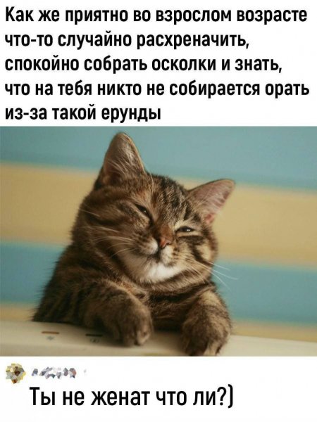 Не женат