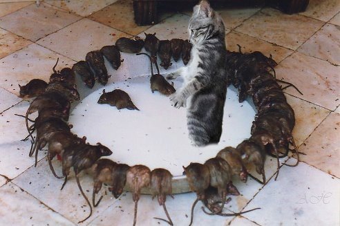 уку