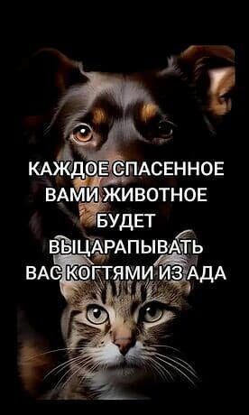 Image (3)