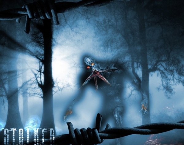 Stalker 144022