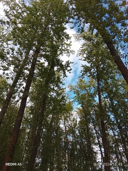 picture_419012968