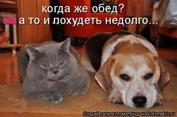 А???