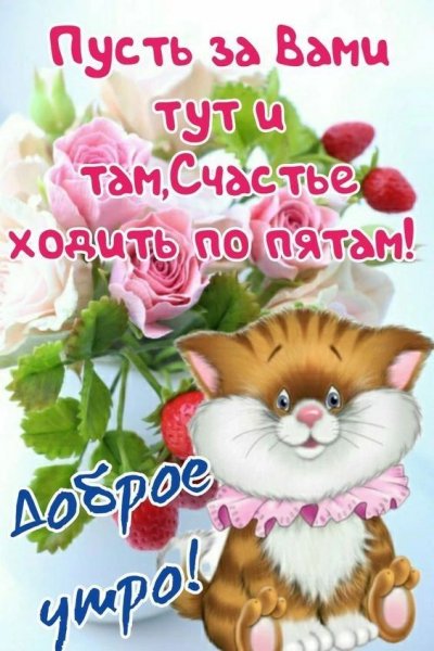 IMG 20260928 083846 860