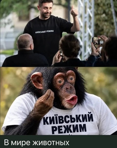 IMG 20260911 014437